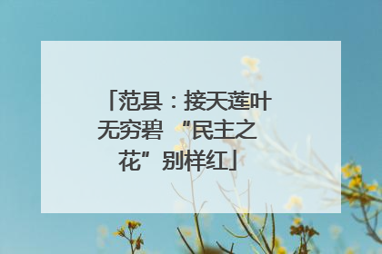 范县：接天莲叶无穷碧 “民主之花”别样红