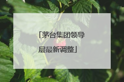 茅台集团领导层最新调整