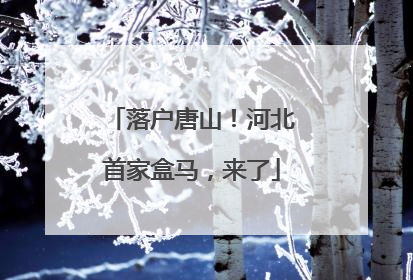 落户唐山！河北首家盒马，来了