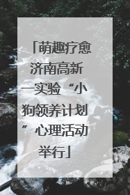 萌趣疗愈 济南高新一实验“小狗领养计划”心理活动举行