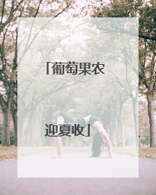葡萄果农迎夏收