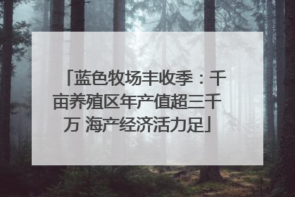 蓝色牧场丰收季：千亩养殖区年产值超三千万 海产经济活力足
