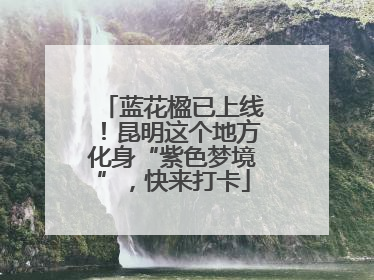 蓝花楹已上线！昆明这个地方化身“紫色梦境”，快来打卡