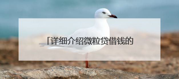 详细介绍微粒贷借钱的开通方式与官方入口