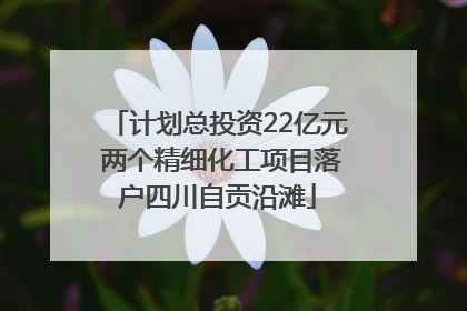 计划总投资22亿元 两个精细化工项目落户四川自贡沿滩