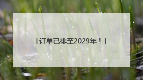 订单已排至2029年！