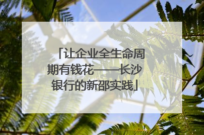 让企业全生命周期有钱花——长沙银行的新邵实践
