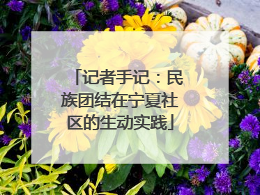 记者手记：民族团结在宁夏社区的生动实践