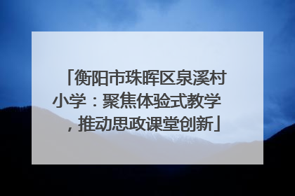 衡阳市珠晖区泉溪村小学：聚焦体验式教学，推动思政课堂创新