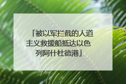 被以军拦截的人道主义救援船抵达以色列阿什杜德港