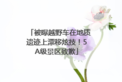 被曝越野车在地质遗迹上漂移炫技！5A级景区致歉