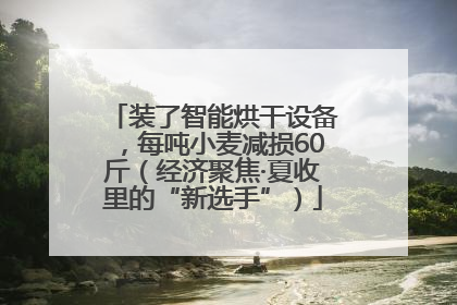 装了智能烘干设备，每吨小麦减损60斤（经济聚焦·夏收里的“新选手”）