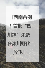 西南首例！首批“四川籍”朱鹮在沐川野化放飞