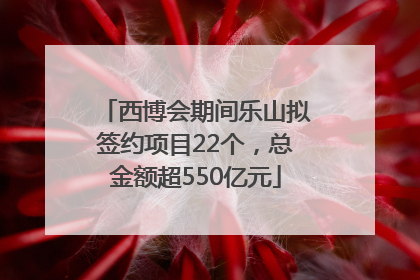 西博会期间乐山拟签约项目22个，总金额超550亿元