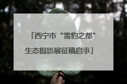 西宁市“雪豹之都”生态摄影展征稿启事