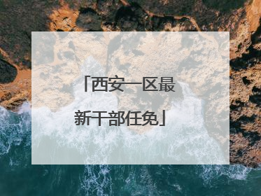 西安一区最新干部任免