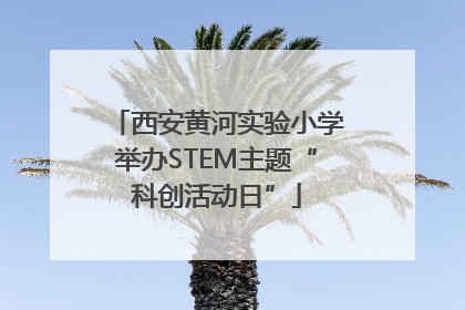 西安黄河实验小学举办STEM主题“科创活动日”
