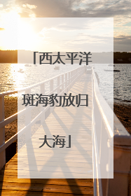 西太平洋斑海豹放归大海