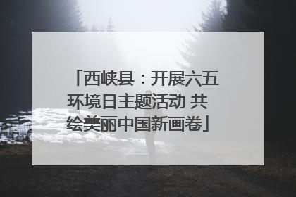 西峡县：开展六五环境日主题活动 共绘美丽中国新画卷