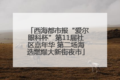 西海都市报“爱尔眼科杯”第11届社区嘉年华 第二场海选燃爆大新街夜市