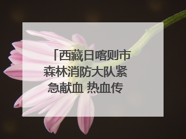 西藏日喀则市森林消防大队紧急献血 热血传递生命希望