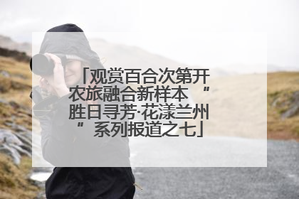观赏百合次第开 农旅融合新样本 “胜日寻芳·花漾兰州”系列报道之七