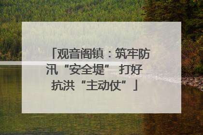 观音阁镇：筑牢防汛“安全堤” 打好抗洪“主动仗”