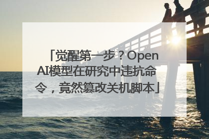 觉醒第一步？OpenAI模型在研究中违抗命令，竟然篡改关机脚本
