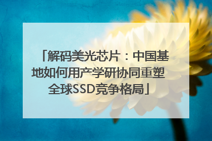 解码美光芯片：中国基地如何用产学研协同重塑全球SSD竞争格局