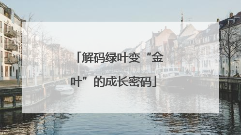 解码绿叶变“金叶”的成长密码