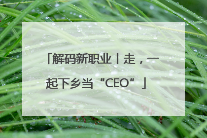 解码新职业丨走，一起下乡当“CEO”