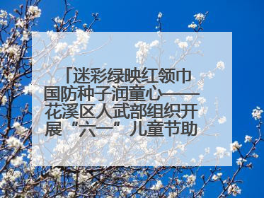 迷彩绿映红领巾 国防种子润童心——花溪区人武部组织开展“六一”儿童节助学兴教活动
