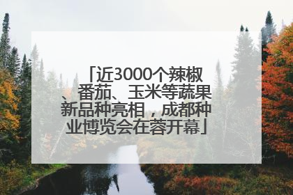 近3000个辣椒、番茄、玉米等蔬果新品种亮相，成都种业博览会在蓉开幕