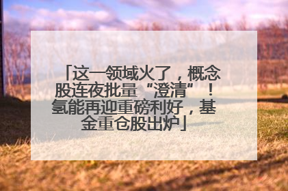 这一领域火了，概念股连夜批量“澄清”！氢能再迎重磅利好，基金重仓股出炉