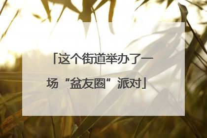 这个街道举办了一场“盆友圈”派对