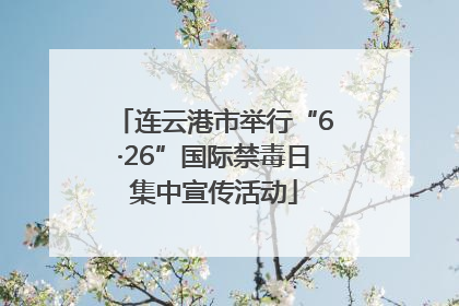 连云港市举行“6·26”国际禁毒日集中宣传活动