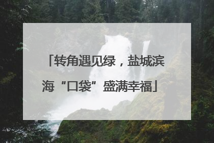 转角遇见绿，盐城滨海“口袋”盛满幸福