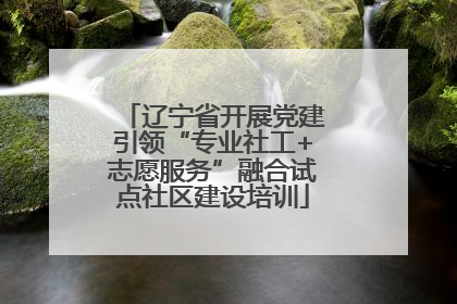 辽宁省开展党建引领“专业社工+志愿服务”融合试点社区建设培训