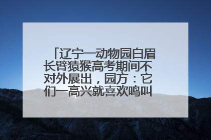 辽宁一动物园白眉长臂猿猴高考期间不对外展出，园方：它们一高兴就喜欢鸣叫，怕影响考试