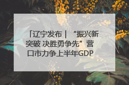 辽宁发布｜“振兴新突破 决胜勇争先”营口市力争上半年GDP增长6%左右