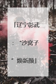 辽宁彰武：“沙窝子”焕新颜
