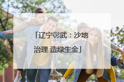 辽宁彰武：沙地治理 造绿生金