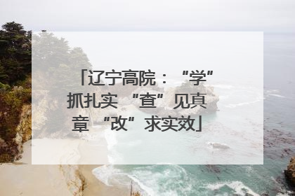 辽宁高院：“学”抓扎实 “查”见真章 “改”求实效
