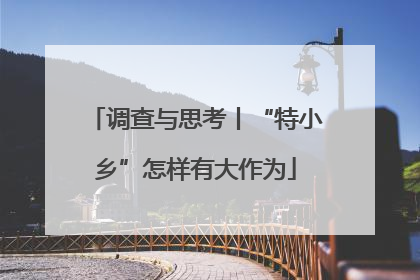 调查与思考丨“特小乡”怎样有大作为