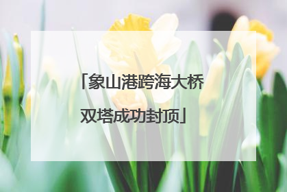 象山港跨海大桥双塔成功封顶