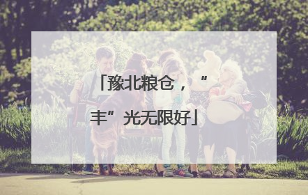 豫北粮仓，“丰”光无限好