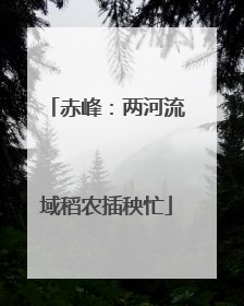 赤峰：两河流域稻农插秧忙