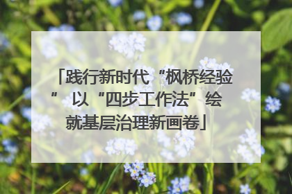 践行新时代“枫桥经验” 以“四步工作法”绘就基层治理新画卷