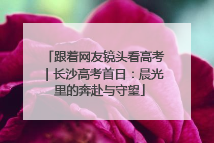 跟着网友镜头看高考｜长沙高考首日：晨光里的奔赴与守望