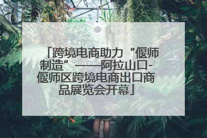 跨境电商助力“偃师制造”——阿拉山口-偃师区跨境电商出口商品展览会开幕